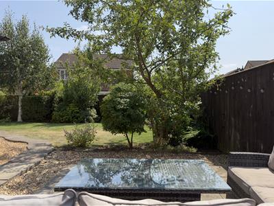 Picture 31